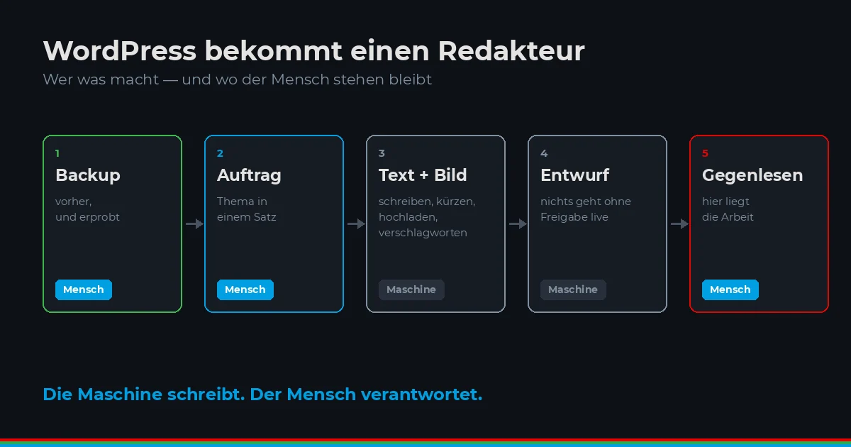 WordPress bekommt einen Redakteur, der nie krank wird
